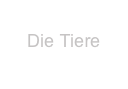 
Die Tiere